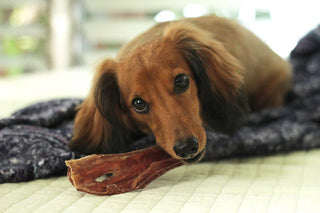 Natural Dog Treats